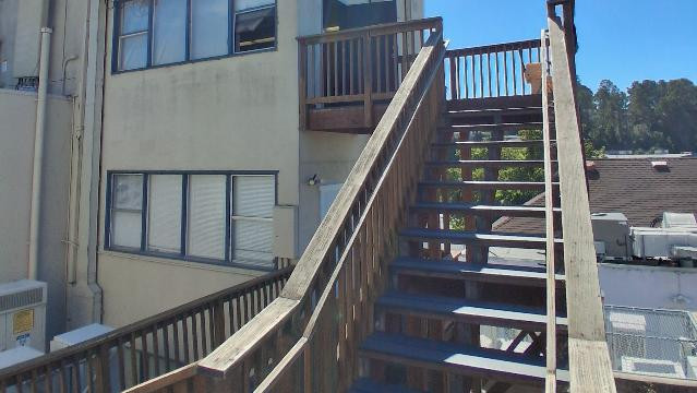 Image 2 from WayShowEr Sanctuary partner gallery