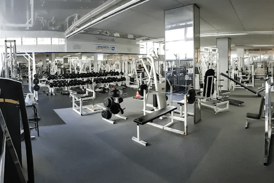 Bild 2 von American Fitness Ludwigshafen Partnergalerie