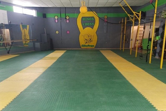 Imagen 1 de la galería del partner Rinos Cross Texcoco
