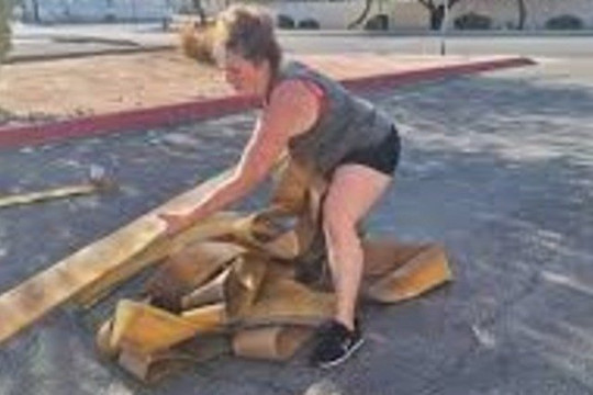 Image 3 from Beast Factory Crossfit partner gallery