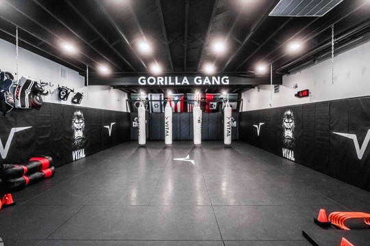 Image 3 from Vital Training Systems partner gallery