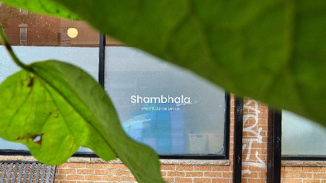 Image 2 from Shambhala Yoga & Dance Center partner gallery