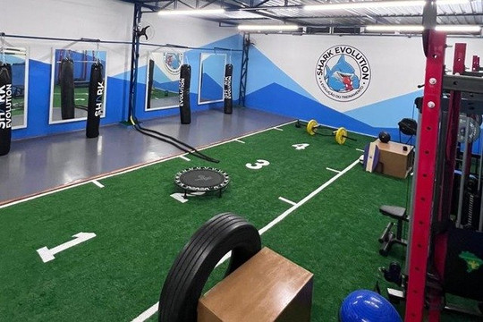 Imagem 2 da galeria do parceiro SHARK Evolution