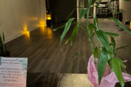 Image 3 from Anahata Yoga Sanctuary partner gallery