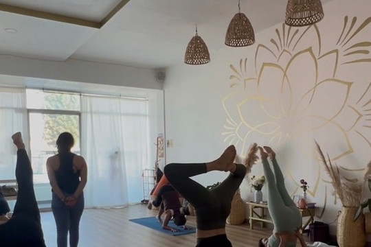 Imagen 3 de la galería del partner Radha Yoga Studio