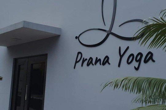 Imagem 2 da galeria do parceiro Prana Yoga