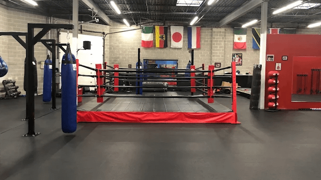 Image 2 from Gregory Boxing DuPage partner gallery
