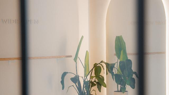 Bild 1 von align Hamburg Partnergalerie