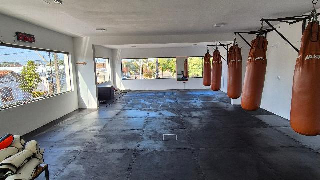 Imagem 1 da galeria do parceiro Studio Fight Ltda