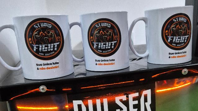Imagem 2 da galeria do parceiro Studio Fight Ltda