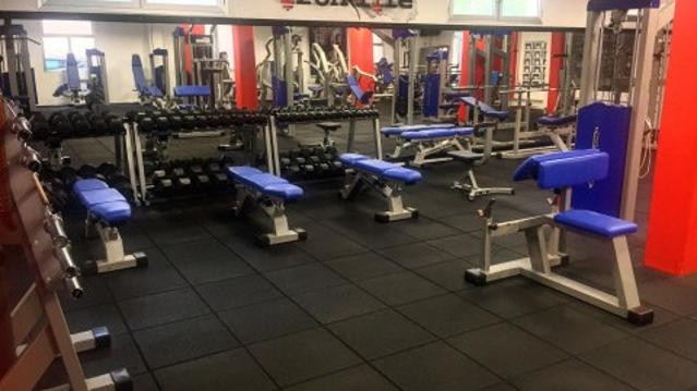 Immagine 3 dalla galleria del partner Iron Life Fitness