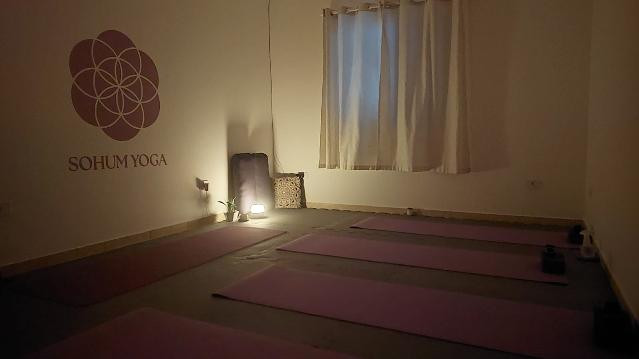 Imagem 1 da galeria do parceiro SoHum Yoga Shala