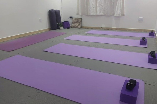 Imagem 3 da galeria do parceiro SoHum Yoga Shala