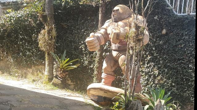 Imagem 2 da galeria do parceiro CT Marcão dos Venenos