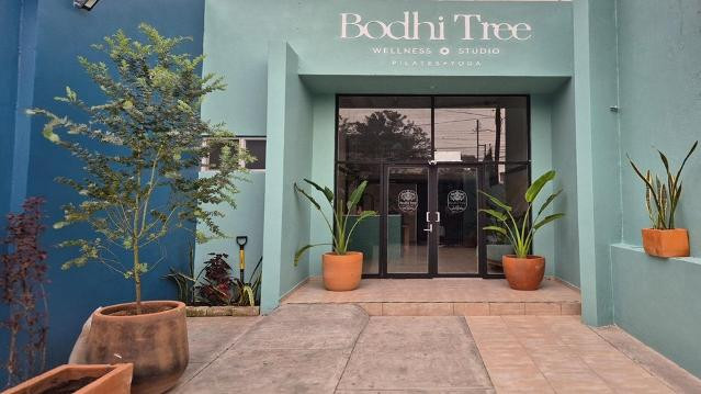 Imagen 2 de la galería del partner Bodhi Tree Wellness Studio