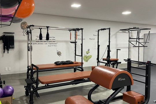 Imagem 1 da galeria do parceiro Studio de Pilates e Fisioterapia Luciana Oliveira