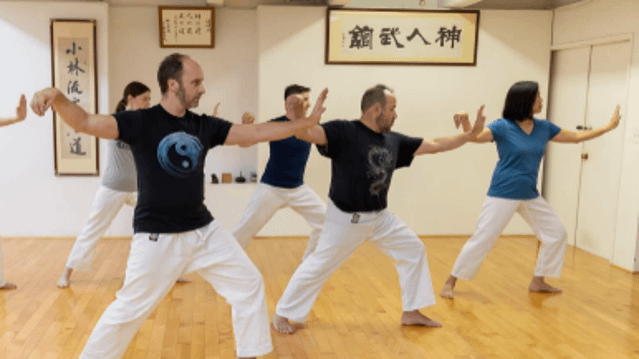 Image 1 de la galerie du partenaire Vancouver Traditional Martial Arts Dojo