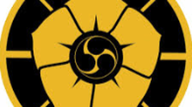 Image 3 de la galerie du partenaire Vancouver Traditional Martial Arts Dojo