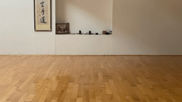 Image 2 de la galerie du partenaire Vancouver Traditional Martial Arts Dojo