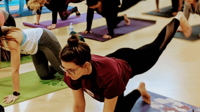 Image 2 from Trinity Yoga partner gallery