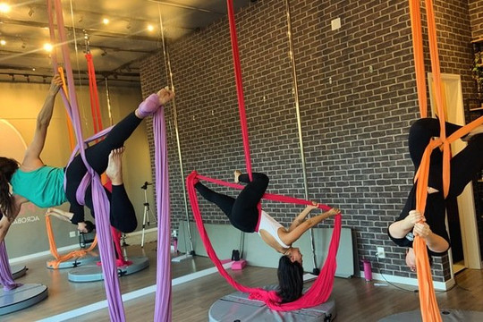 Imagem 1 da galeria do parceiro Polefit Acrobat Training Center