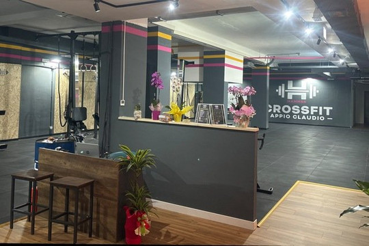 Immagine 1 dalla galleria del partner Crossfit Hammer Appio Claudio