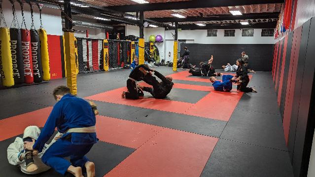 Image 1 from Practical MMA partner gallery