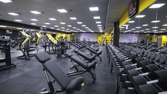 Immagine 2 dalla galleria del partner Fit Express Forlì