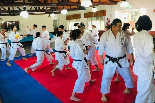 Imagen 1 de la galería del partner KARATE DOJO CAMPANA