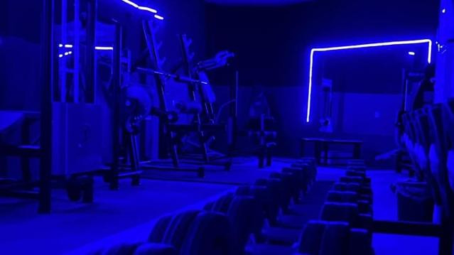 Imagem 2 da galeria do parceiro Fenyx Academy