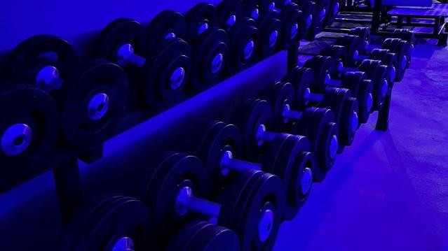 Imagem 1 da galeria do parceiro Fenyx Academy