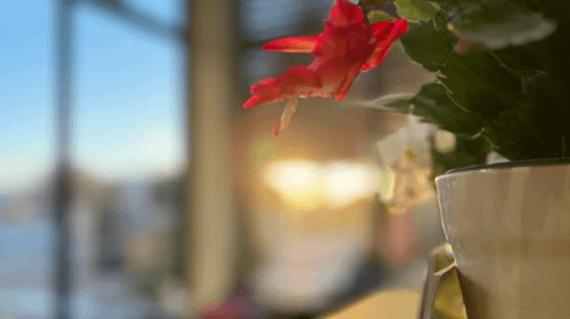 Imagen 3 de la galería del partner Move Climbing