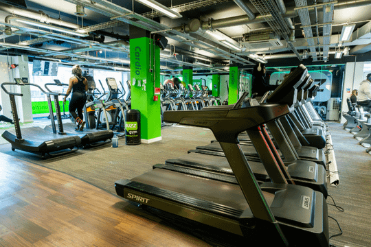 Image 3 from Buzz Gym - Reading partner gallery