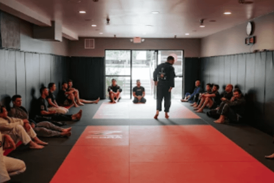 Image 1 from FoCo BJJ partner gallery