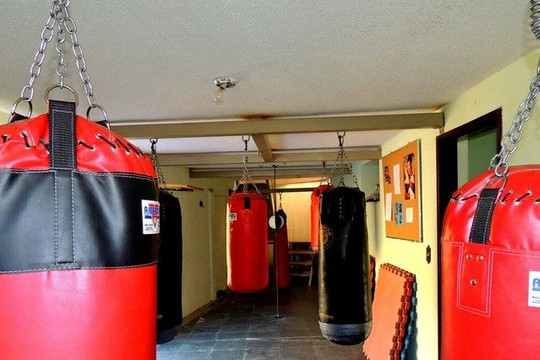 Imagem 1 da galeria do parceiro Sattva Artes Marciais