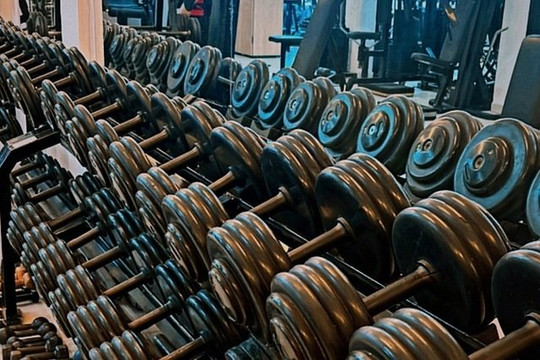 Imagem 1 da galeria do parceiro King