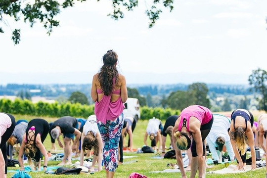 Image 3 from YoYoYogi Yoga Studio partner gallery