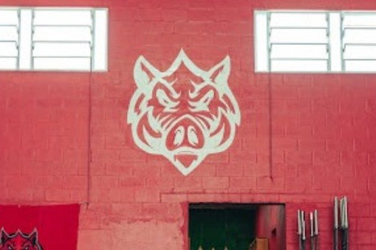 Imagem 1 da galeria do parceiro Red Java - Canoas