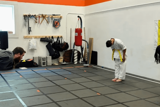 Image 1 from Tiger Den Dojo partner gallery