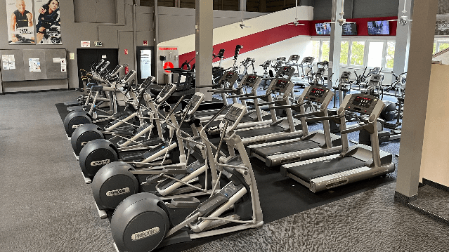 Bild 1 von Insel Sports Club im Süden Berlins Partnergalerie