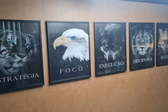 Imagem 2 da galeria do parceiro Sandro e Alice Centro de Atividades Físicas