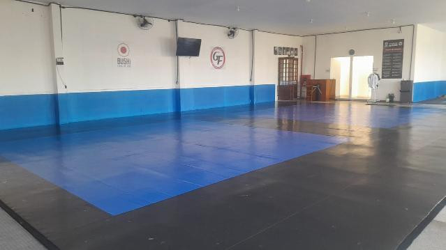 Imagem 1 da galeria do parceiro Escola de Lutas Pedro Gama Filho