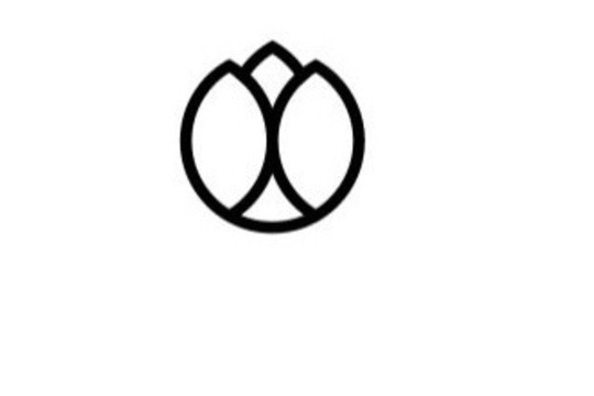 Immagine 2 dalla galleria del partner Elemental