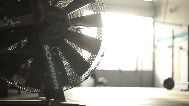 Immagine 1 dalla galleria del partner Crossfit Asinelli