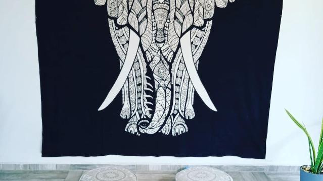 Imagen 3 de la galería del partner Bo Yoga