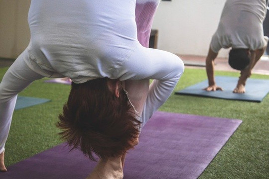 Imagen 3 de la galería del partner Shanti Peace House