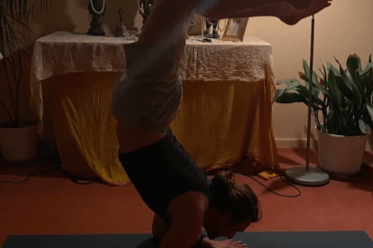 Bild 3 von Yoga Vidya Mainz Partnergalerie