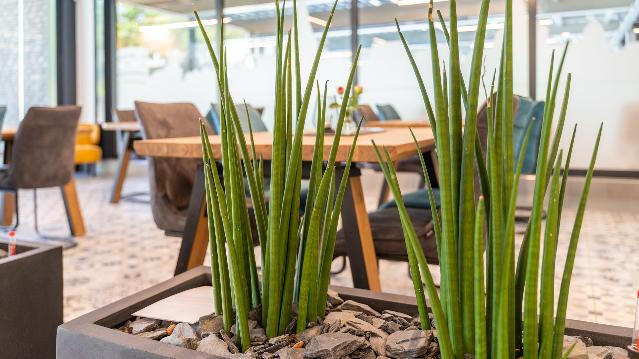 Bild 3 von BALNEO Badewelt Waldbröl Partnergalerie