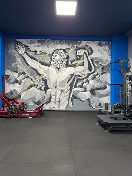 Imaginea 2 din Olympic Gym Braila galeria partenerului