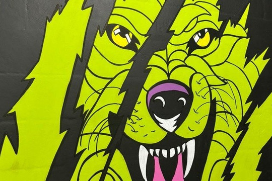 Imagem 1 da galeria do parceiro Centro de Treinamento Ativa